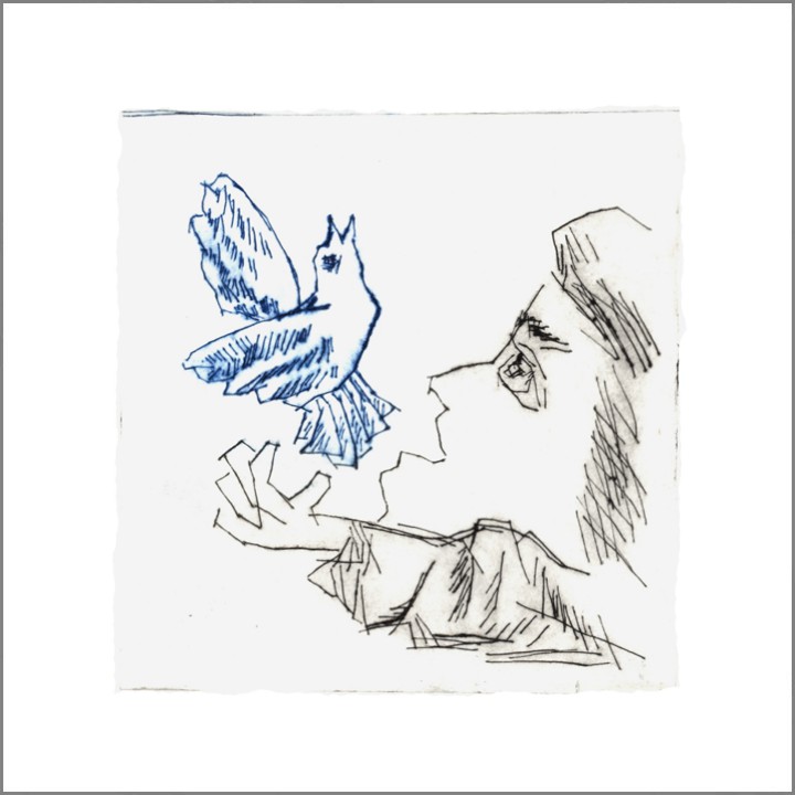 1992 Ontsnapte vogel