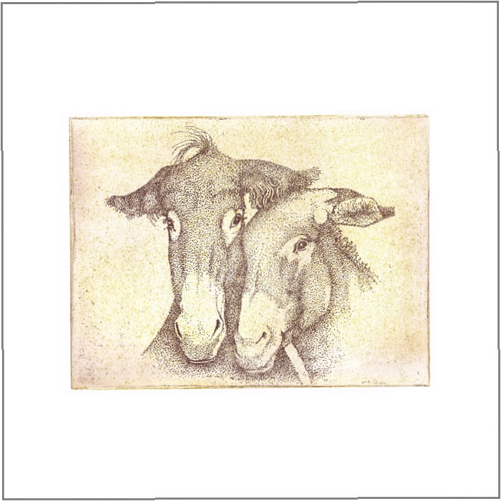 1996 Twee ezels