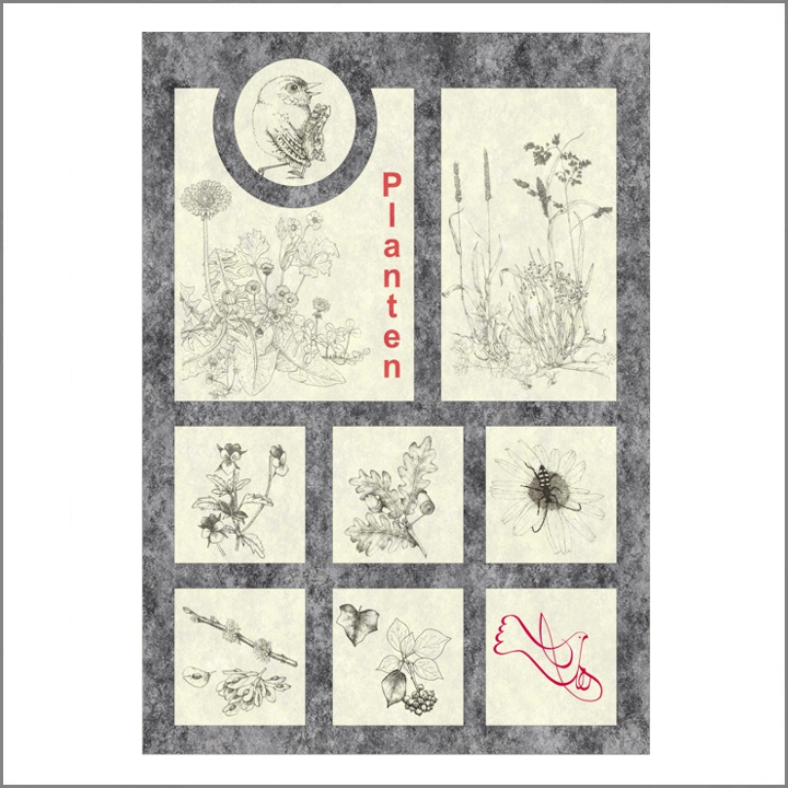 2006 Klein herbarium (327K)