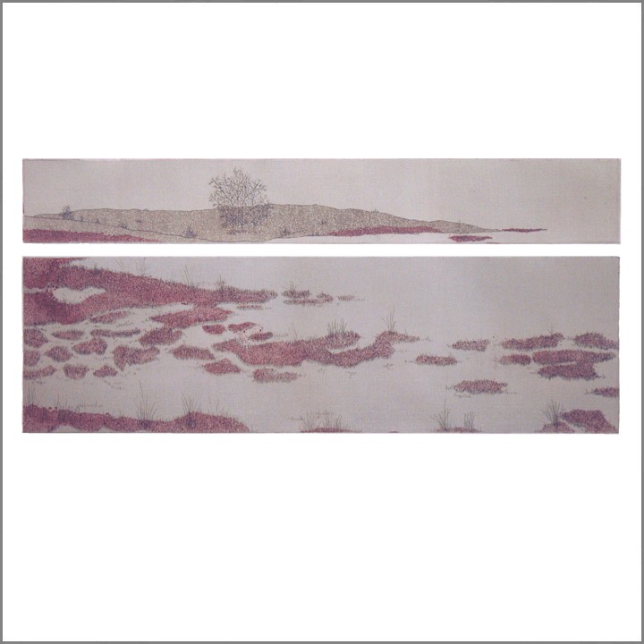2011 Zandbergsven - winter (59K)