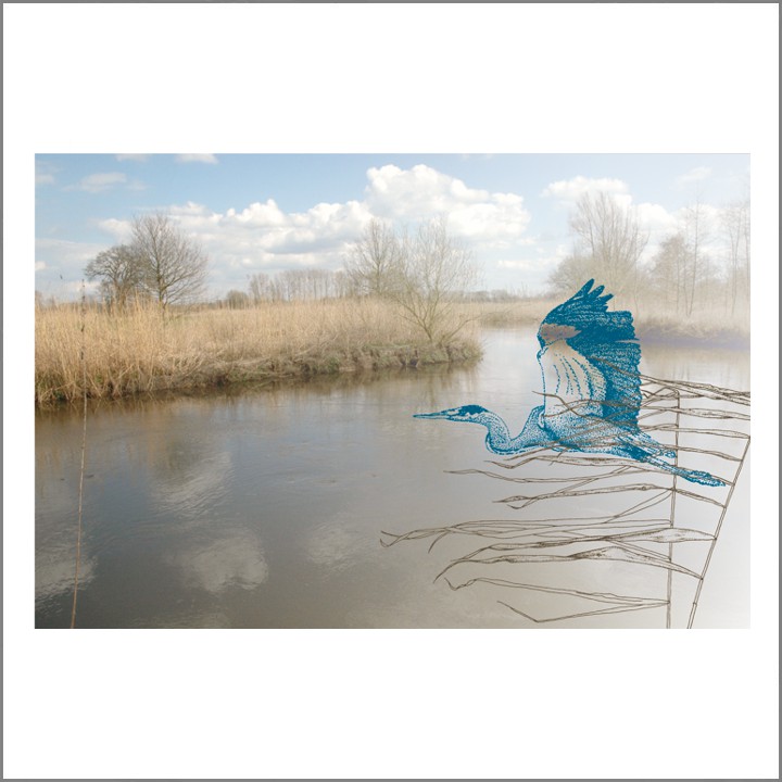 2014 Dommel en reiger