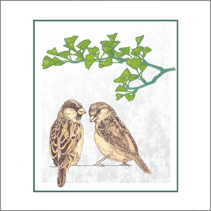 2015 Mussen paartje en gingko tak (238K)