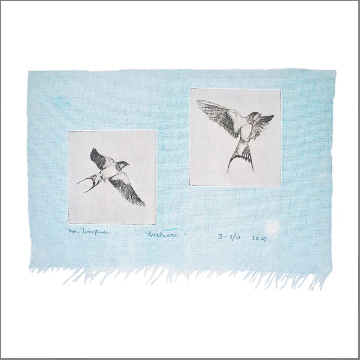 2015 Twee zwaluwen (76K)