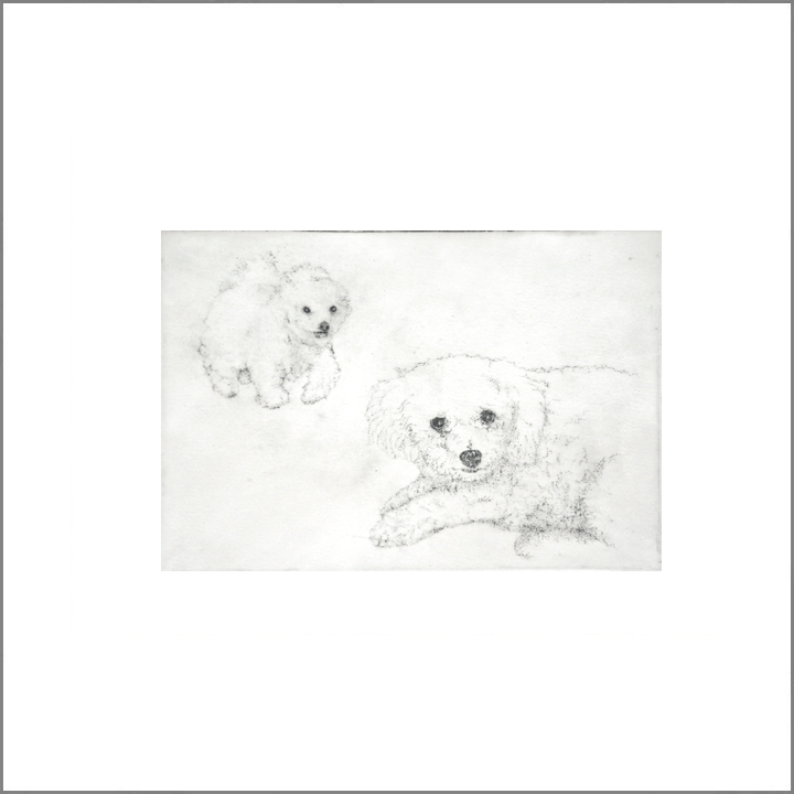 2017 Hondje Coco (106K)